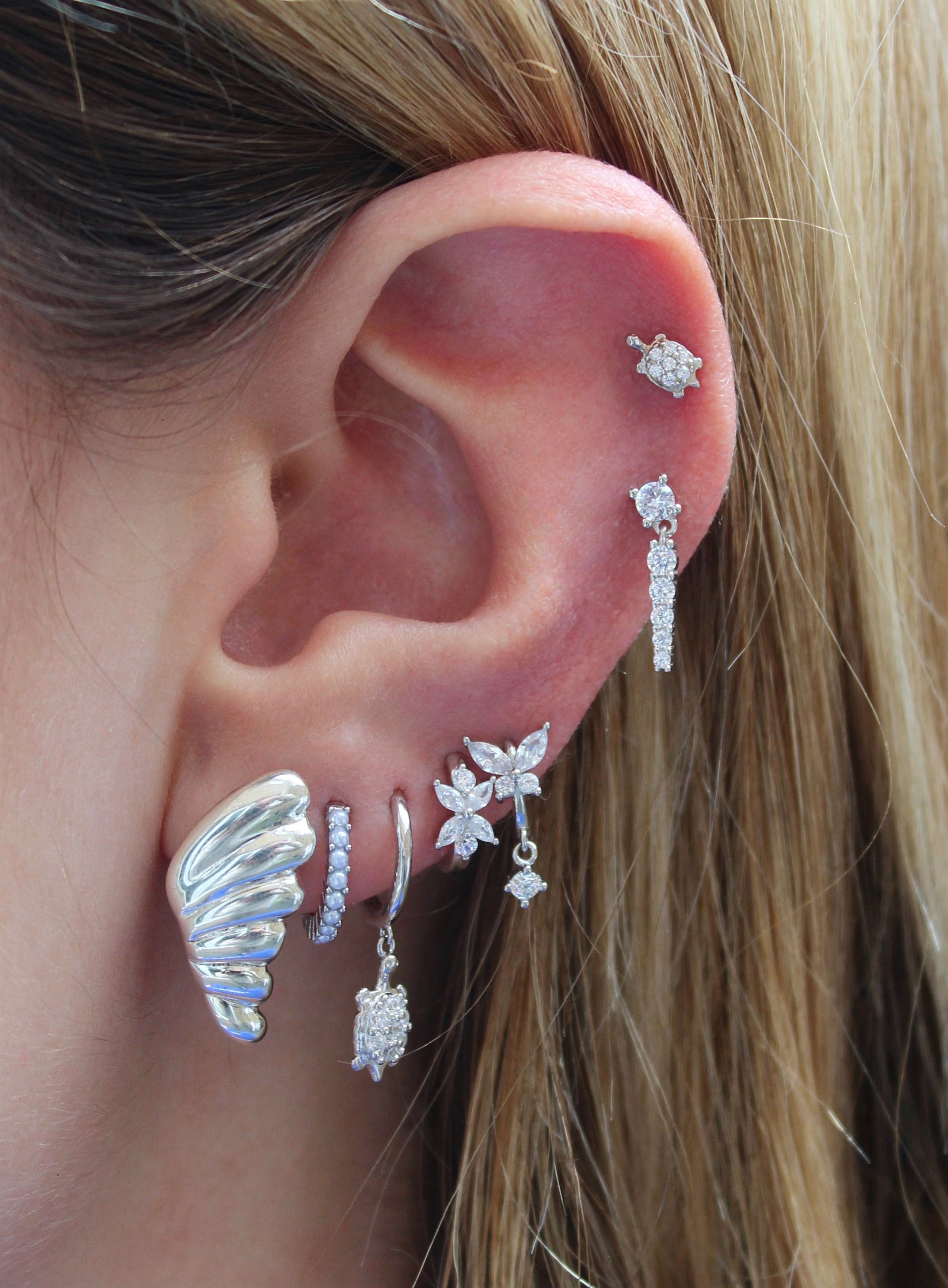 Conch Shell Silver Earrings